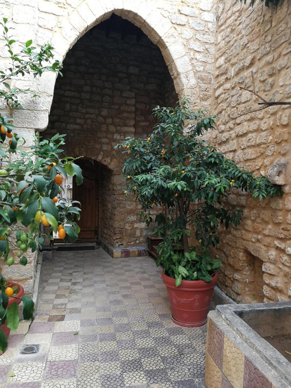 Dar Camelia Bed & Breakfast Тир Екстериор снимка